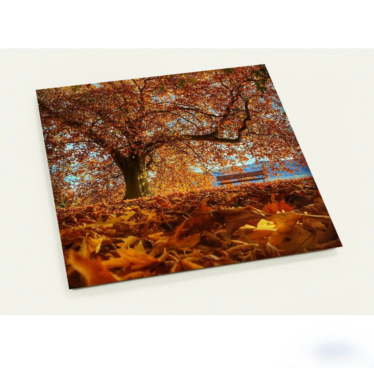 Herbst im Vilettepark / 14.1 x 14.1 - Roland Widmer widrol