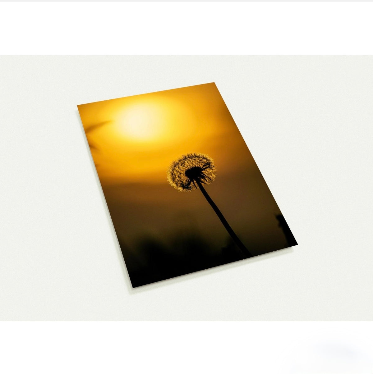 Pusteblume/ A6 (10.5 x 14.8)