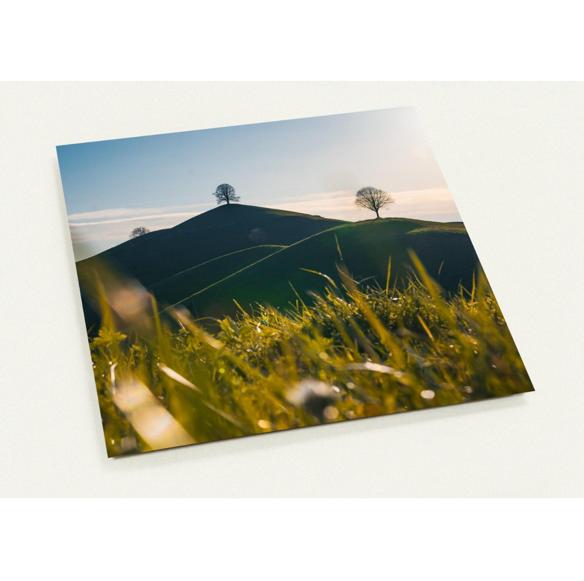 Drumlinlandschaft / 14.1 x 14.1 - Roland Widmer widrol