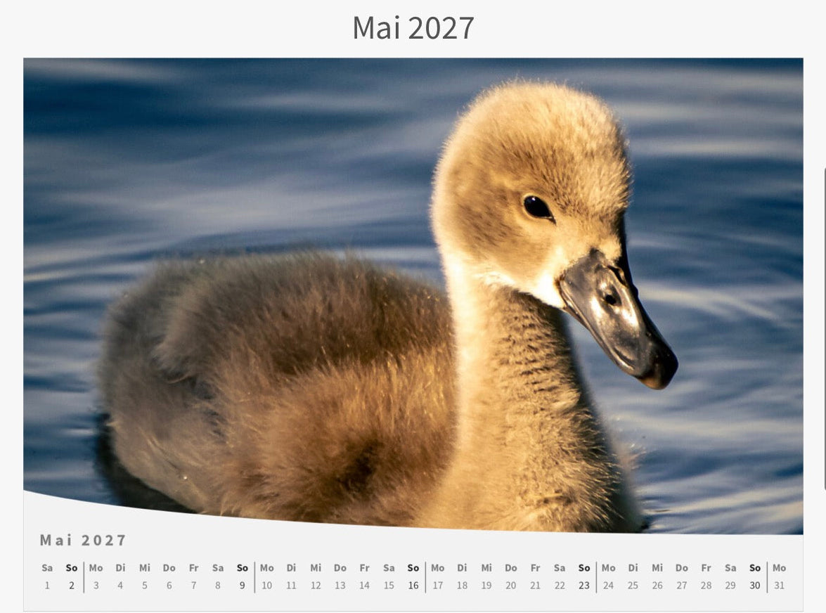 Wandkalender 2027