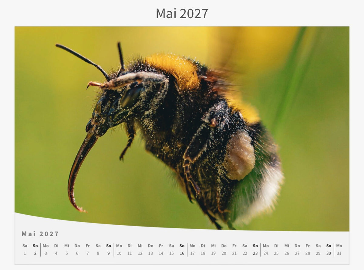 Wandkalender - Die Welt im Kleinen 2027