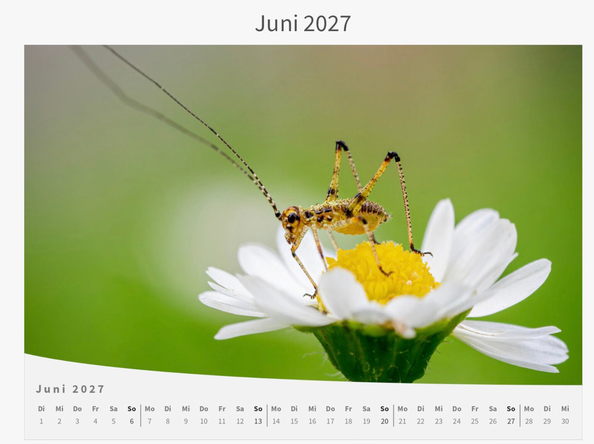 Wandkalender - Die Welt im Kleinen 2027