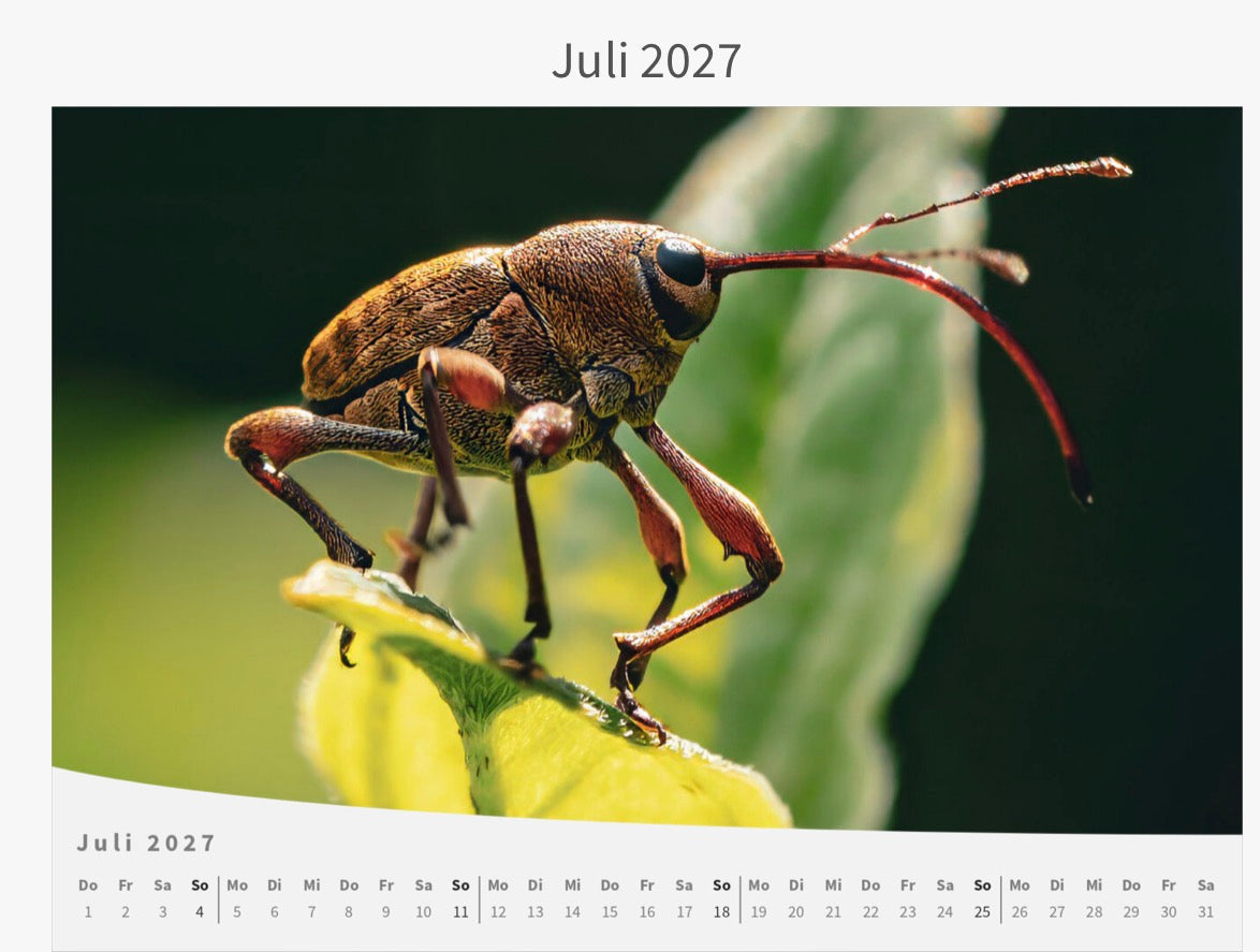 Wandkalender - Die Welt im Kleinen 2027
