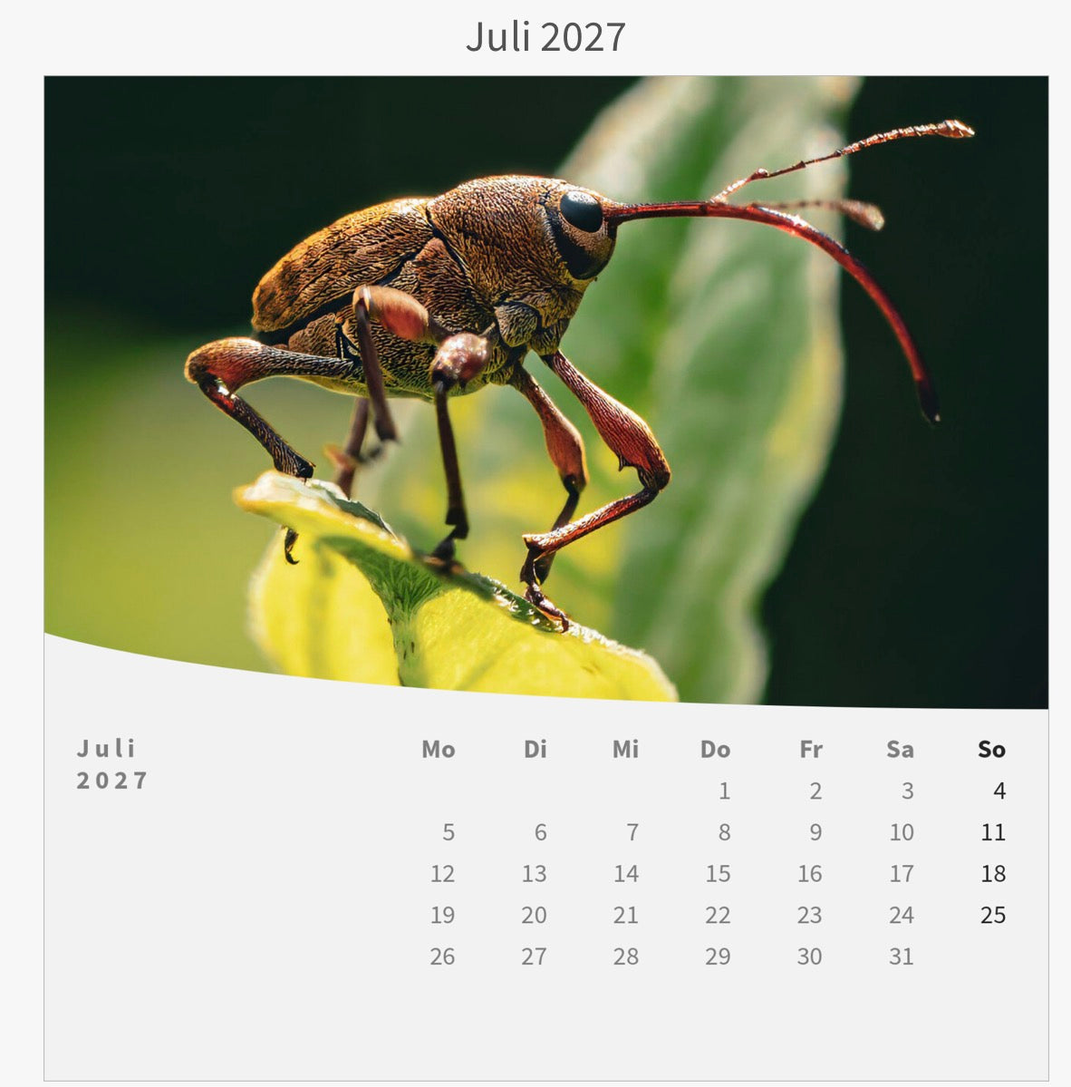 Tischkalender mit Holzsockel - Die Welt im Kleinen 2027