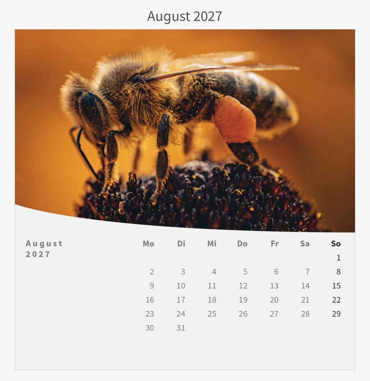 Tischkalender mit Holzsockel - Die Welt im Kleinen 2027