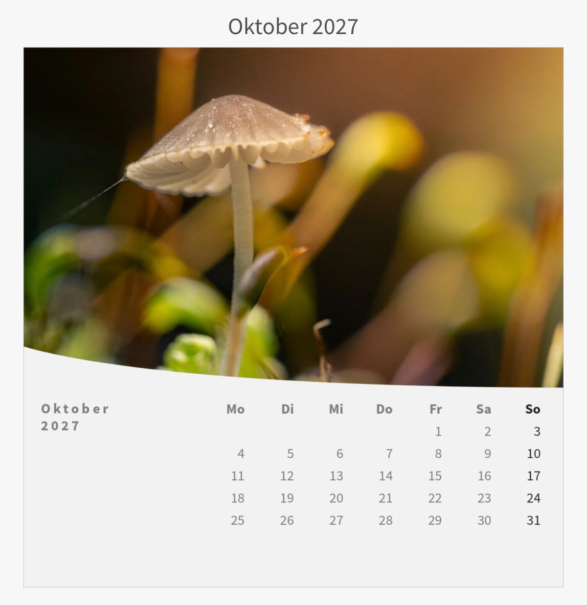 Tischkalender mit Holzsockel - Die Welt im Kleinen 2027