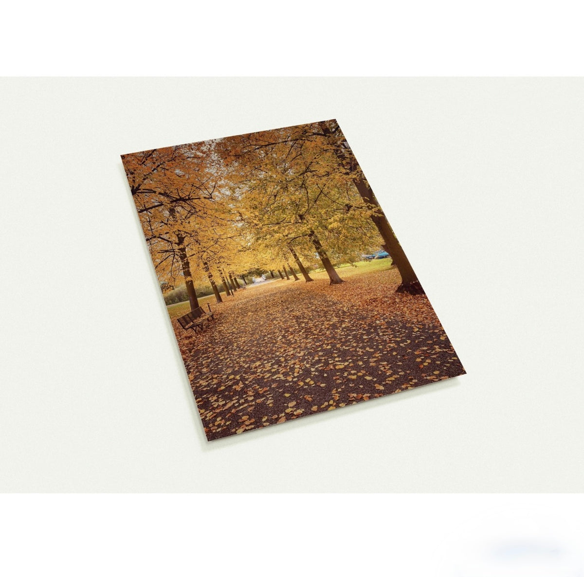 Herbststimmung in Zug / A6 (10.5 x 14.8) - Roland Widmer widrol 