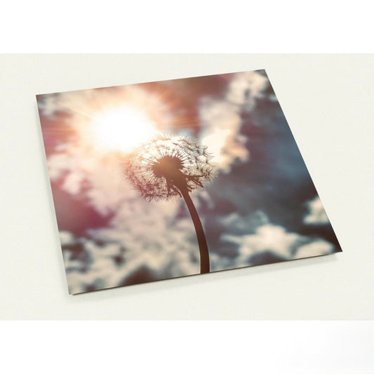 Pusteblume / ca. 14 x 14