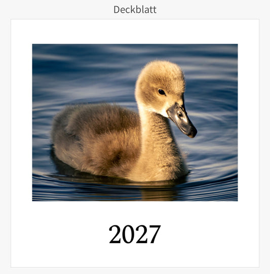 Tischkalender mit Holzsockel 2027
