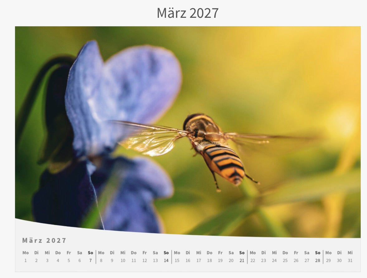 Wandkalender - Die Welt im Kleinen 2027