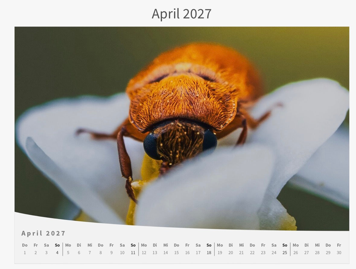 Wandkalender - Die Welt im Kleinen 2027