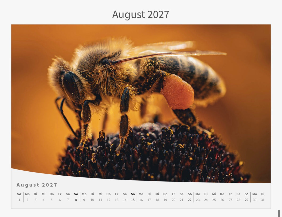 Wandkalender - Die Welt im Kleinen 2027
