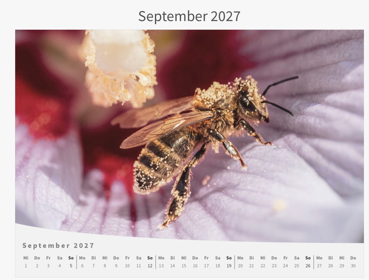 Wandkalender - Die Welt im Kleinen 2027