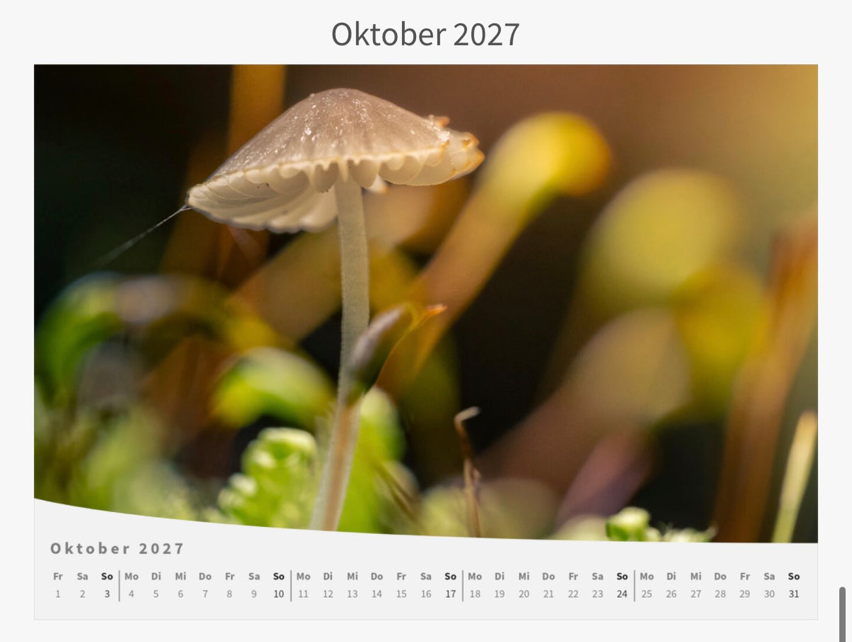 Wandkalender - Die Welt im Kleinen 2027