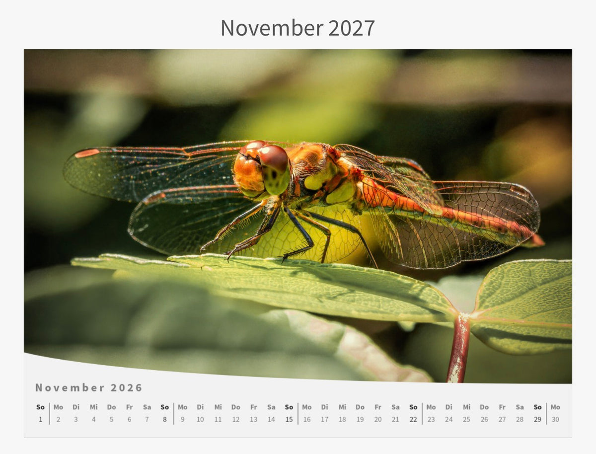 Wandkalender - Die Welt im Kleinen 2027