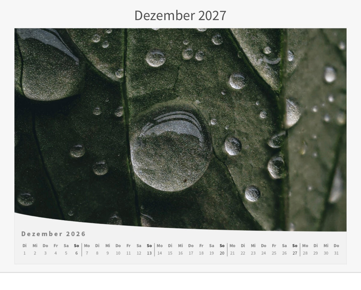 Wandkalender - Die Welt im Kleinen 2027