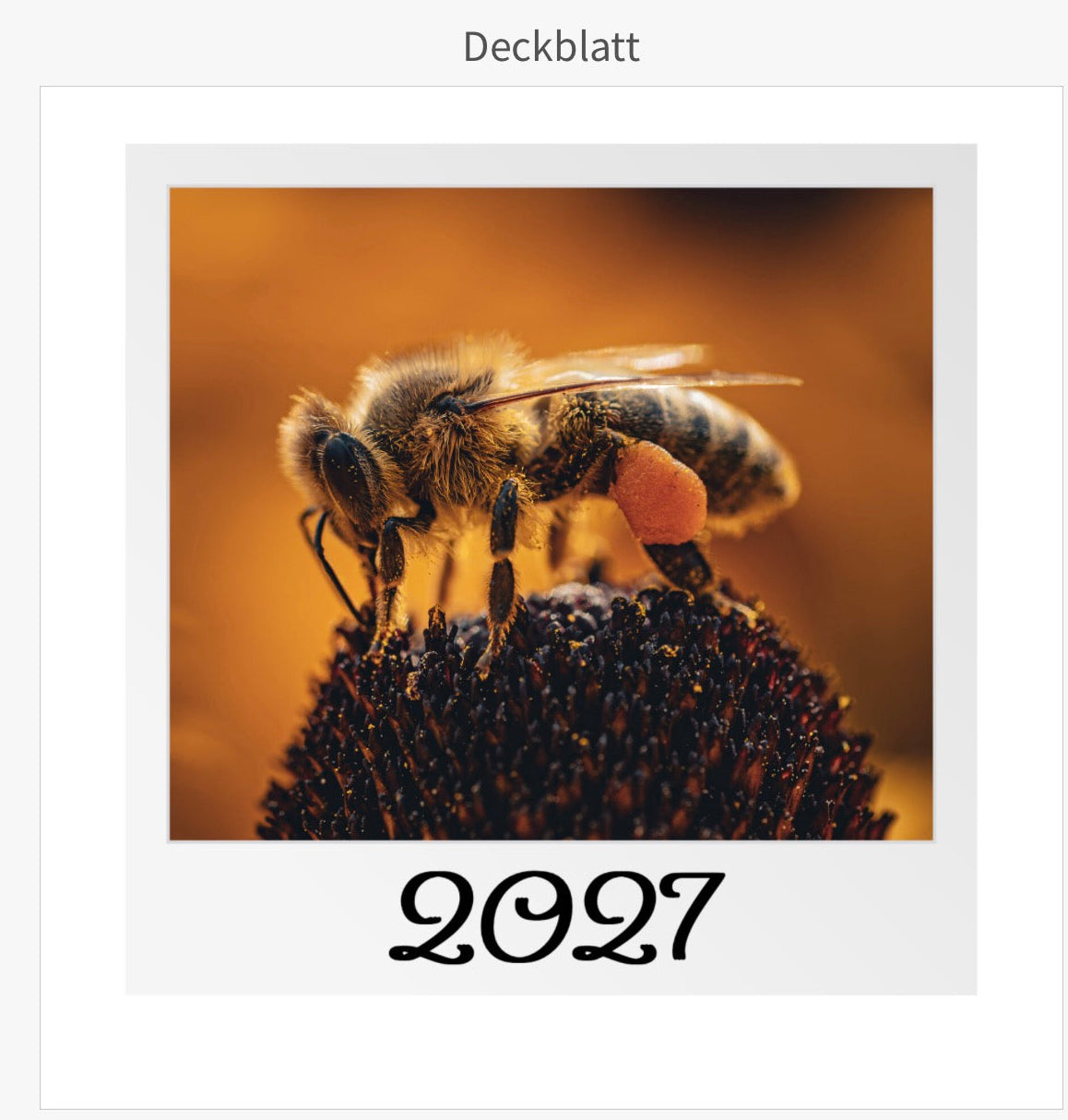 Tischkalender mit Holzsockel - Die Welt im Kleinen 2027