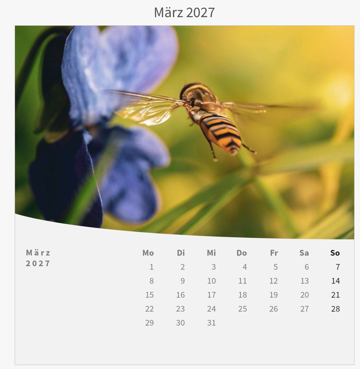 Tischkalender mit Holzsockel - Die Welt im Kleinen 2027