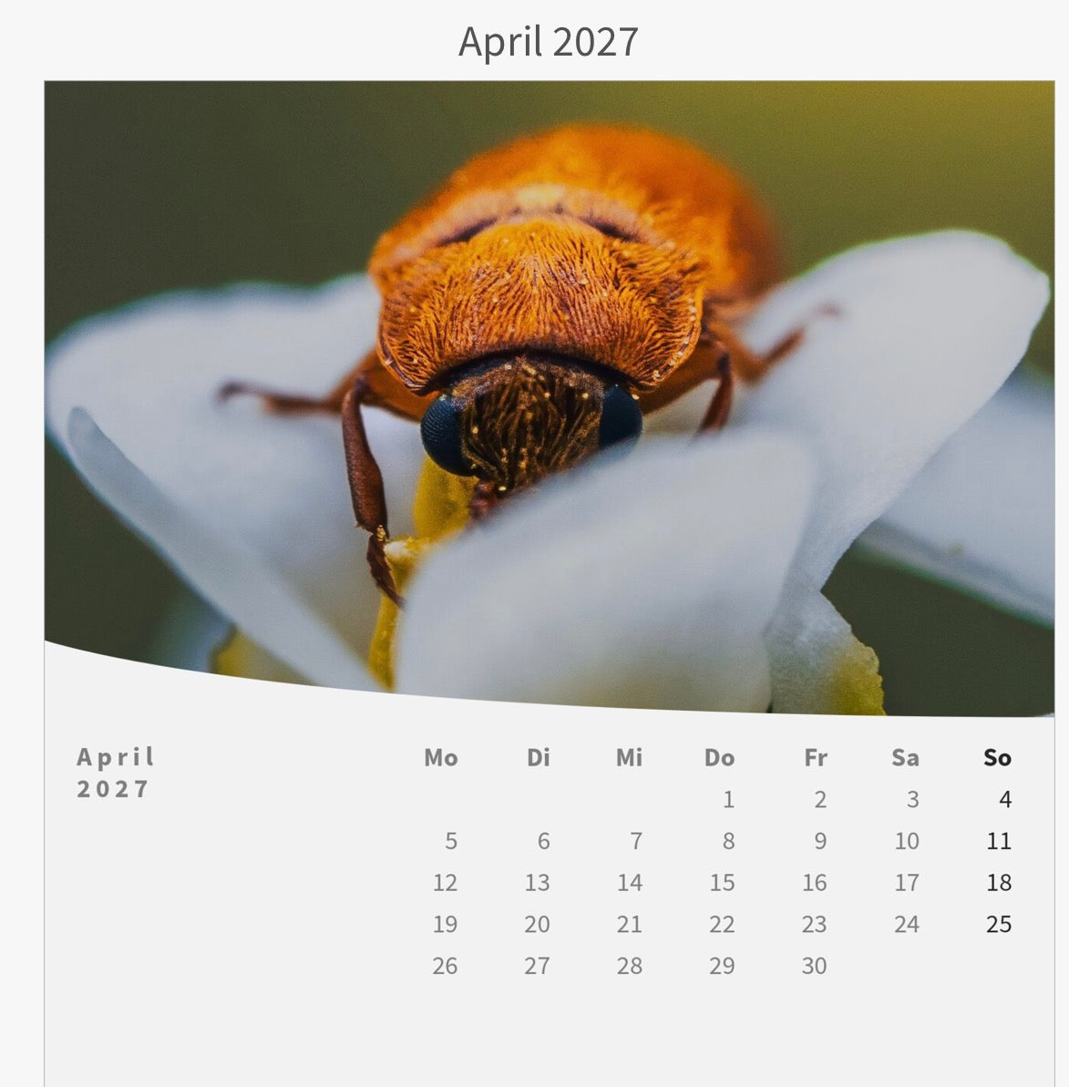 Tischkalender mit Holzsockel - Die Welt im Kleinen 2027