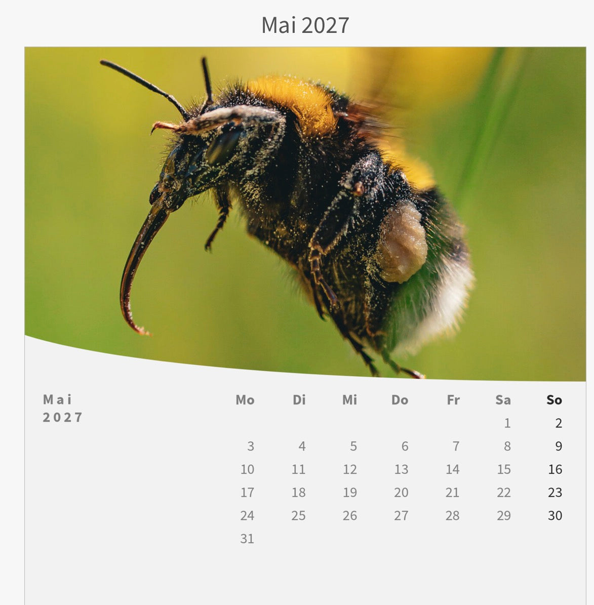 Tischkalender mit Holzsockel - Die Welt im Kleinen 2027