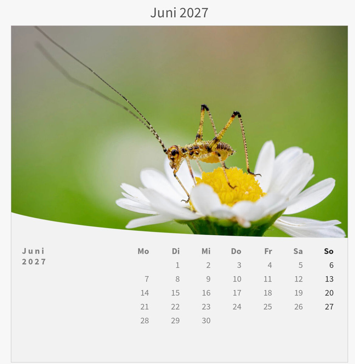 Tischkalender mit Holzsockel - Die Welt im Kleinen 2027
