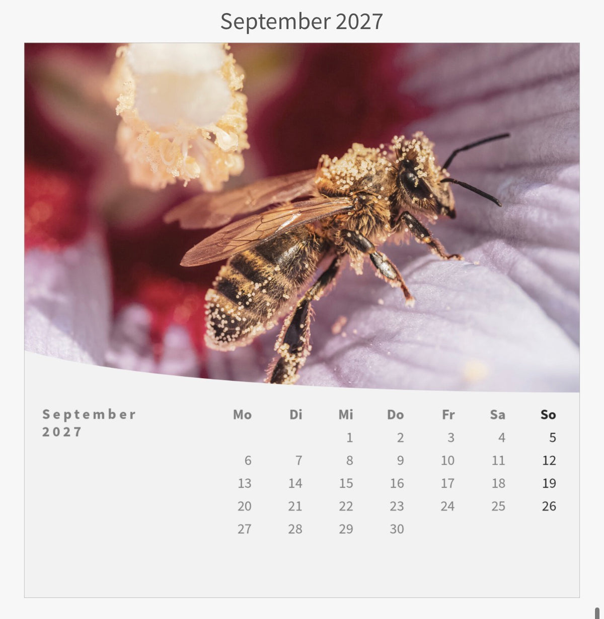 Tischkalender mit Holzsockel - Die Welt im Kleinen 2027