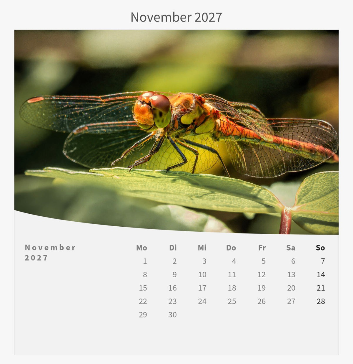 Tischkalender mit Holzsockel - Die Welt im Kleinen 2027