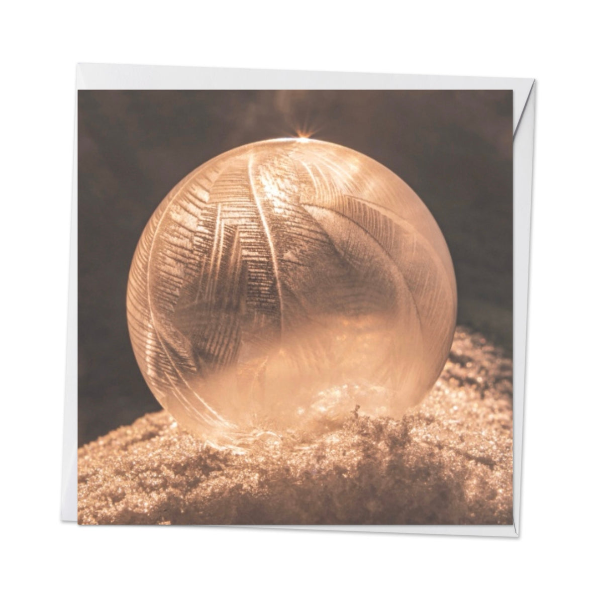 Frozen Bubble 2 / ca. 14 x 14