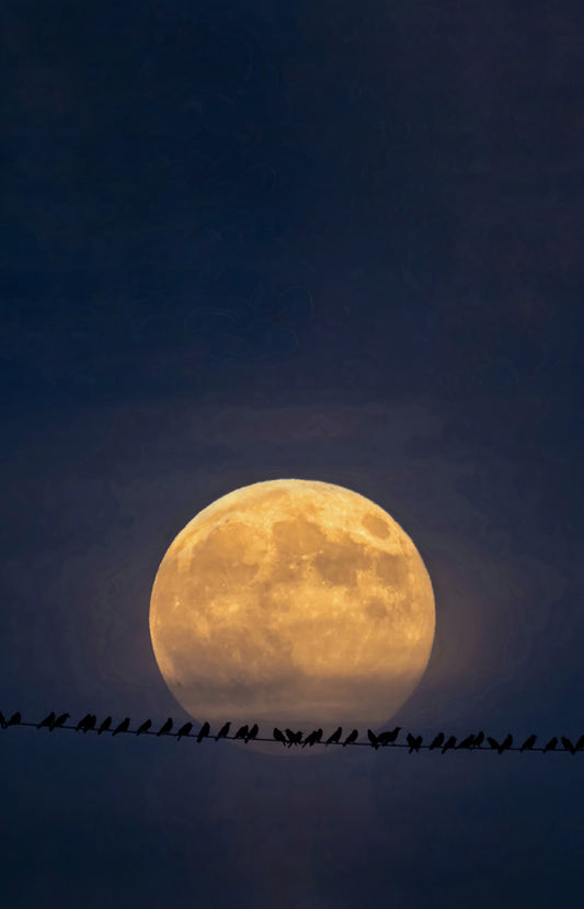 Wallpaper Mond